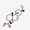 Compound Image