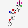Compound Image