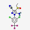 Compound Image